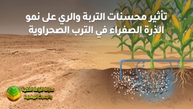 تاثير بعض المحسنات ( البيرلايت والزيولايت) ومستوى الري في نمو نبات الذرة الصفراء