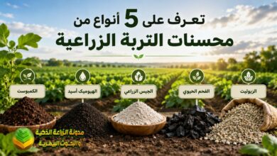 تعرف على 5 أنواع من محسنات التربة الزراعية