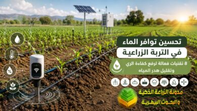 تحسين توافر الماء في التربة الزراعية: 8 تقنيات فعالة لرفع كفاءة الري وتقليل هدر المياه
