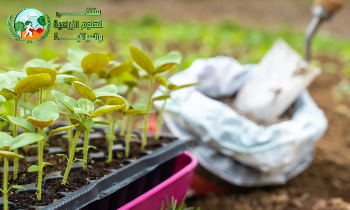 ما هي محسنات التربة الزراعية (Soil Amendments) وكيف تحقق الإنتاجية القصوى لمحاصيلك؟