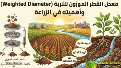 معدل القطر الموزون للتربة weighted diameter وأهميته في الزراعة
