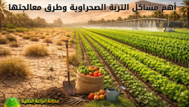 الأراضي الصحراوية: اهم مشاكل التربة الصحراوية desert soil وطرق معالجتها