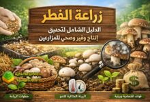 زراعة الفطر: الدليل الشامل لتحقيق إنتاج وفير وصحي للمزارعين