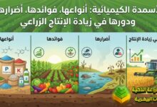الأسمدة الكيميائية: أنواعها، فوائدها، أضرارها، ودورها في زيادة الإنتاج الزراعي