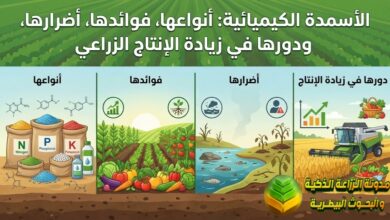 الأسمدة الكيميائية: أنواعها، فوائدها، أضرارها، ودورها في زيادة الإنتاج الزراعي