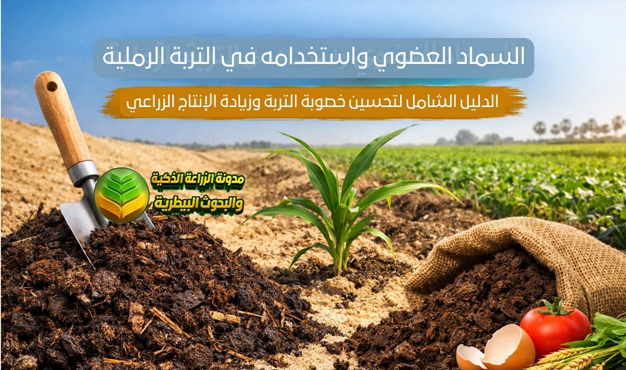 السماد العضوي واستخدامه في التربة الرملية: الدليل الشامل لتحسين خصوبة التربة وزيادة الإنتاج الزراعي