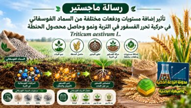 تأثير دفعات ومستويات السماد الفوسفاتي في حركية تحرر الفسفور وإنتاج الحنطة
