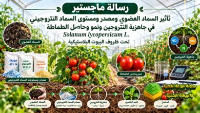 دراسة نمو وحاصل الطماطة تحت تأثير السماد العضوي ومصدر ومستوى السماد النتروجيني