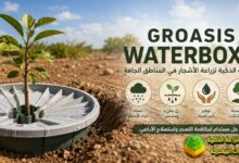 Groasis Waterboxx: غروسيس التقنية المبتكرة لزراعة الأشجار بأقل كمية من المياه