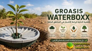 Groasis Waterboxx: غروسيس التقنية المبتكرة لزراعة الأشجار بأقل كمية من المياه