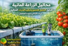 محاليل الزراعة المائية: الدليل الشامل لتحضير وتركيب المغذيات المثالية