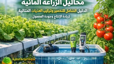 محاليل الزراعة المائية: الدليل الشامل لتحضير وتركيب المغذيات المثالية