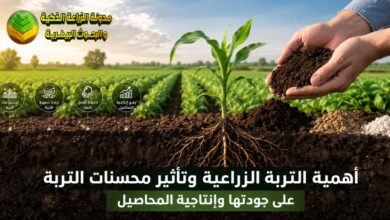 أهمية التربة الزراعية وتأثير محسنات التربة على جودتها وإنتاجية المحاصيل