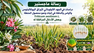 تأثير الجهد الاليلوباثي لأوراق اليوكالبتوس والياس والدفلة في نمو الحنطة والأدغال المرافقة