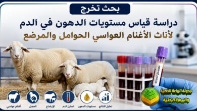 دراسة قياس مستويات الدهون في الدم لأناث الأغنام العواسي الحوامل والمرضع