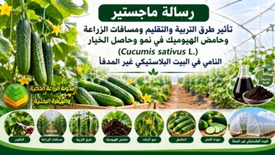 دراسة أكاديمية طرق التربية والتقليم الخيار وزراعته بحامض الهيوميك في البيوت البلاستيكية