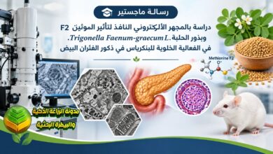 دراسة أكاديمية عن تأثير بذور الحلبة على صحة البنكرياس وتثبيط أضرار الموثين F2a