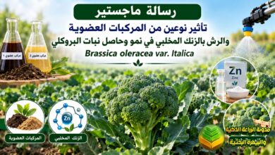 تسميد البروكلي بالمركبات العضوية والزنك المخلبي: دراسة لزيادة الحاصل وتحسين الجودة