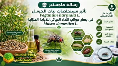 مكافحة الذبابة المنزلية بمستخلصات نبات الحرمل: دراسة أكاديمية ودليل للمربين والمزارعين