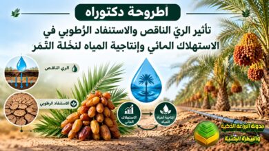 ري النخلة بالري الناقص والفقاعي: دراسة أكاديمية للمزارعين لترشيد المياه وزيادة الإنتاجية