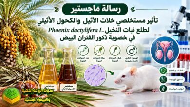 تأثير طلع النخيل في تحسين الخصوبة ومعالجة العقم الكيميائي