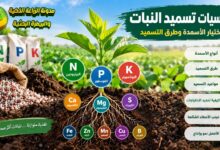 أساسيات تسميد النبات: دليل لفهم احتياجات النباتات واختيار الأسمدة وتطبيقها بطريقة صحيحة