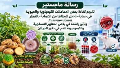 حماية حاصل البطاطا من مرض العفن الجاف وتأثير سموم الفيوزاريوم