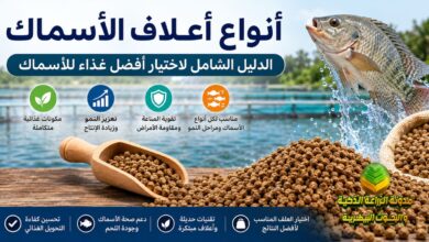 أنواع أعلاف الأسماك: أفضل الأعلاف ومكوناتها وطريقة اختيارها لزيادة الإنتاج السمكي