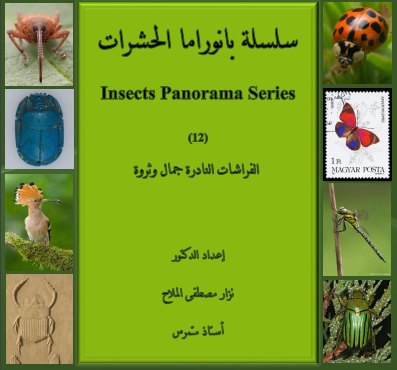 كتاب شامل عن الفراشات النادرة