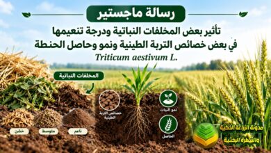 دراسة أكاديمية إعادة تدوير المخلفات النباتية لتحسين الترب الطينية وزيادة حاصل الحنطة