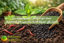 سماد دودة الأرض (الفيروكمبوست): أسرار رفع خصوبة التربة وتحسين نمو المحاصيل