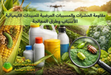مقاومة الحشرات والمسببات المرضية للمبيدات الكيميائية: الأسباب وطرق المعالجة
