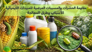 مقاومة الحشرات والمسببات المرضية للمبيدات الكيميائية: الأسباب وطرق المعالجة