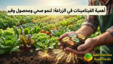 الفيتامينات في الزراعة: مفتاح النمو الصحي للنباتات وزيادة الإنتاجية الزراعية