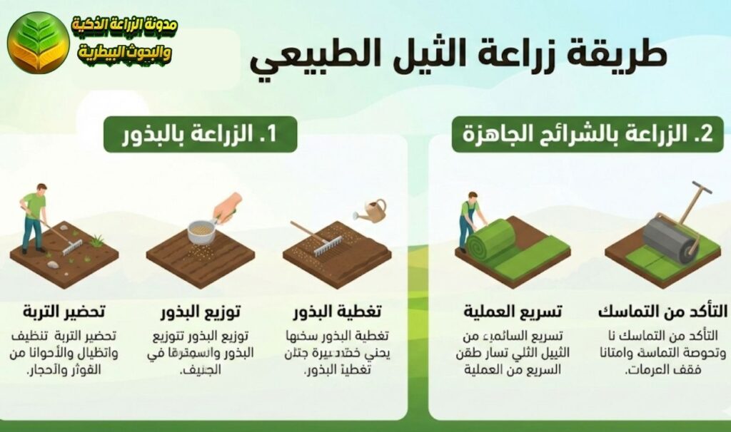 طريقة زراعة الثيل الطبيعي