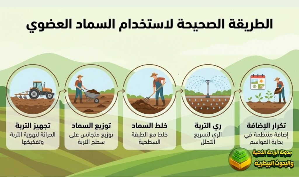 الطريقة الصحيحة لاستخدام السماد العضوي