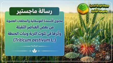 تراكم العناصر الثقيلة من الأسمدة الفوسفاتية والمخلفات العضوية في التربة ونبات الحنطة