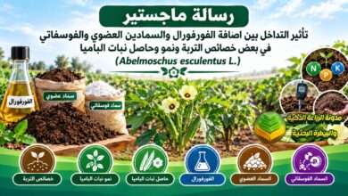 التداخل بين مخلفات الفورفورال وبعض الاسمدة في خصائص التربة ونمو وحاصل الباميا