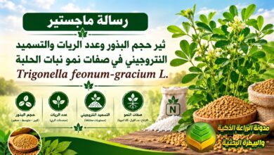 تسميد وزراعة نبات الحلبة بحجم البذور وفترات الري: دراسة أكاديمية ودليل للمزارعين