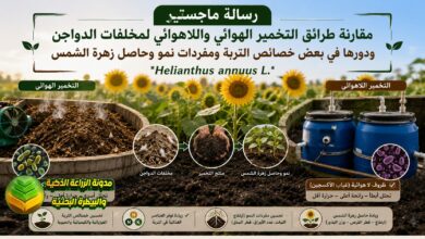 تخمير مخلفات الدواجن لتسميد زهرة الشمس: دراسة أكاديمية لزيادة الحاصل وتحسين التربة
