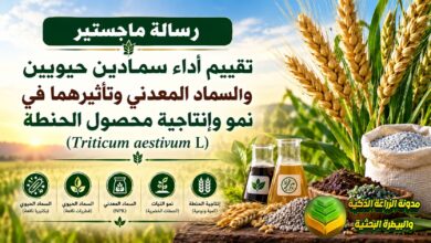 تسميد الحنطة باللقاحات الحيوية والسماد المعدني: دراسة لزيادة الإنتاجية وتقليل التكاليف