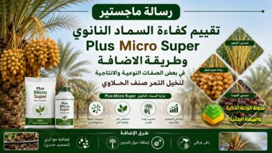 تسميد نخيل التمر بالسماد النانوي Super Micro Plus: دراسة إنتاج وجودة صنف الحلاوي