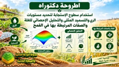 تحسين إنتاجية القمح بالري والتسميد النتروجيني: دراسة أكاديمية ودليل تطبيقي للمزارعين والباحثين