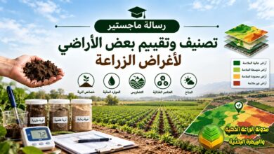 تصنيف وتقييم الأراضي للزراعة المروية: دراسة أكاديمية لزيادة الحاصل ومواجهة الملوحة