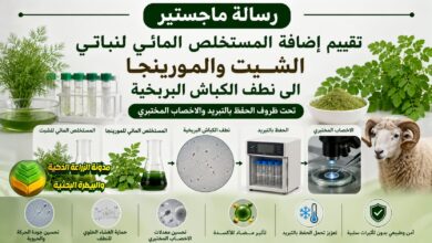 حفظ السائل المنوي نطف الكباش بالمورينجا والشبت: دراسة لزيادة الخصوبة وتحسين الإنتاجية