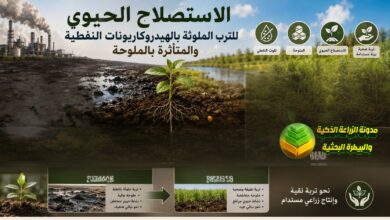 الاستصلاح الحيوي للترب الملوثة بالنفط والملوحة: دراسة استعادة خصوبة الأراضي الزراعية