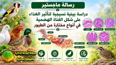 تأثير الغذاء على القناة الهضمية في الطيور: دراسة بيئية نسيجية لمربي الدواجن والباحثين