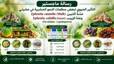 دراسة أكاديمية لمكافحة عثة التين وعثة الزبيب بمنظمات النمو الحشرية