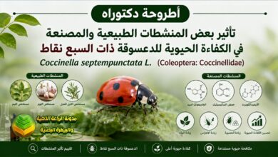 تعزيز الكفاءة الافتراسية للدعسوقة: دراسة أكاديمية لزيادة المكافحة الحيوية ضد حشرة المن