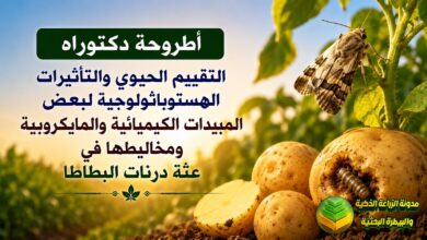 دراسة أكاديمية ودليل عن مكافحة عثة درنات البطاطا بالمبيدات المايكروبية والكيميائية